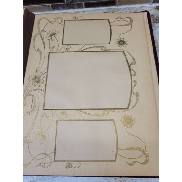 Antique Photograph Album, Celluloid Victorian, Cottage Scene, Wire Metal Holder - Picture 9 of 10